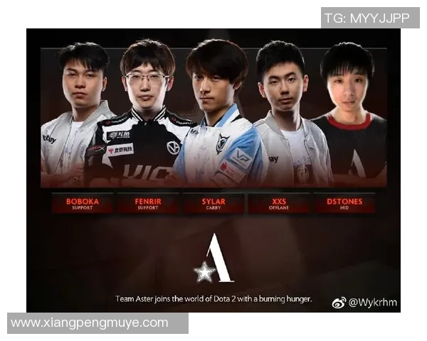 DOTA2比赛经验排行榜揭晓WE战队荣登第八名展现强大实力 DOTA2比赛经验排行榜揭晓WE战队荣登第八名展现强大实力