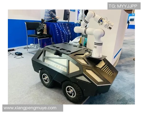 专访杨磊：探讨CSGO成功背后的秘密与未来发展方向