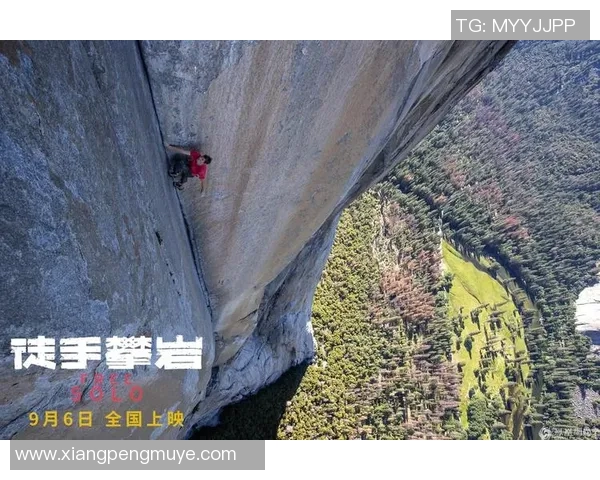 权威发布攀岩实力榜单揭示顶尖选手竞争格局与发展趋势