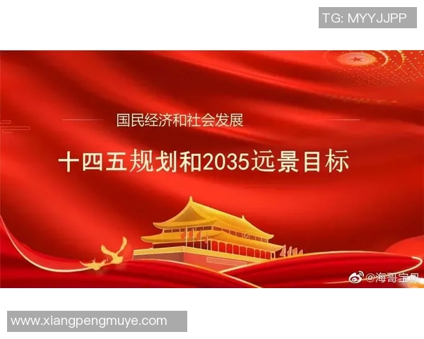 南京排球队中路突破分析：优劣势与战术调整的深度探讨