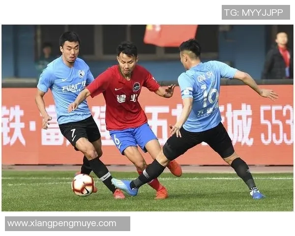 上海排球队节奏引发热议球迷对战术选择产生分歧