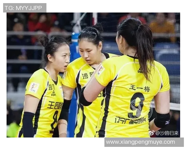 南京排球队盯防策略分析与成效评估探讨 南京排球队盯防策略分析与成效评估探讨