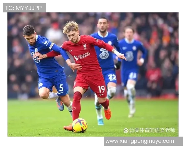 上海排球队速度之争引发热议球迷与专家各执己见