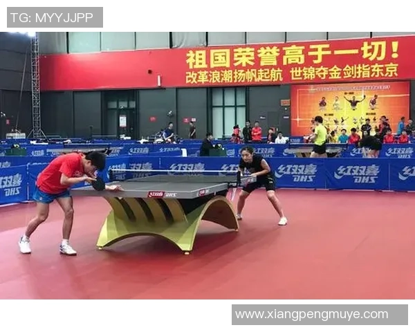 南京乒乓球队个人能力分析与提升策略探讨