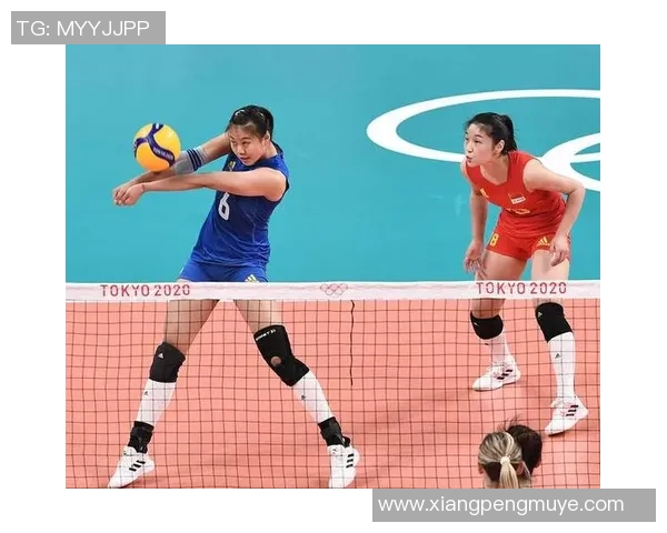 广州排球队的转换打法深度解析与战术应用探讨