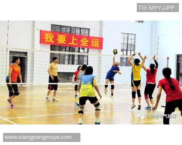 杨伟专访：从青涩球员到排球教练的成长与反思之路