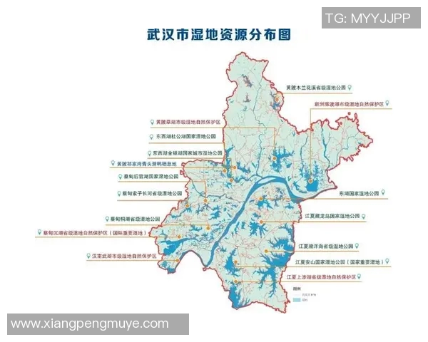 武汉篮球队灵活性分析：战术调整与球员适应能力的深度探讨