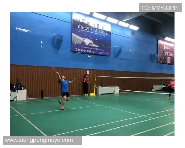 深圳羽毛球队防反战术解析与实战应用探讨