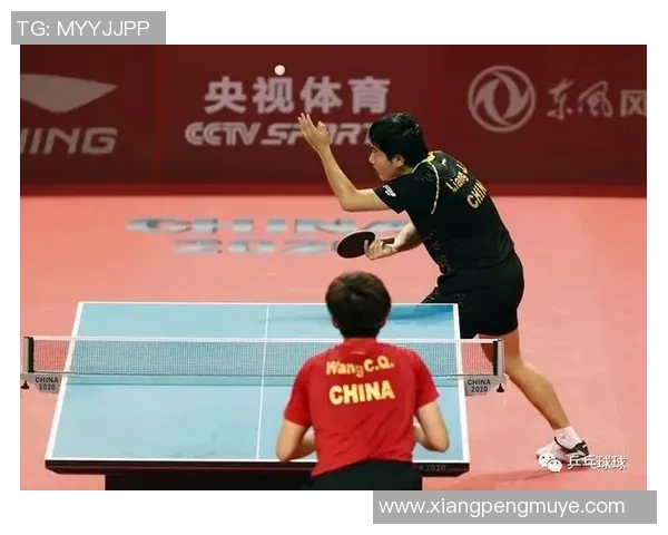 深入分析成都乒乓球队整体压制战术及其对比赛的影响