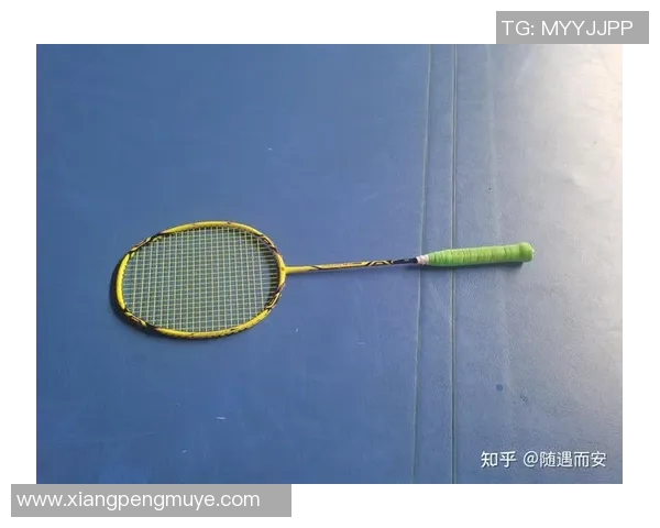 西安羽毛球队展现卓越灵活性荣登最新羽毛球灵活性TOP10榜首