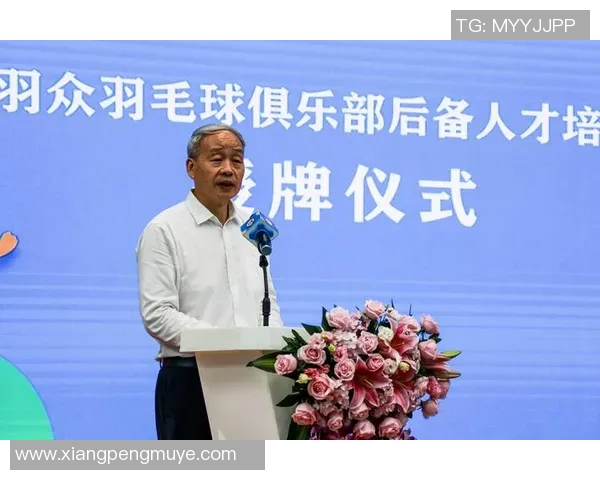 羽毛球逆袭之路：深圳羽毛球队的奋斗与荣耀全纪录