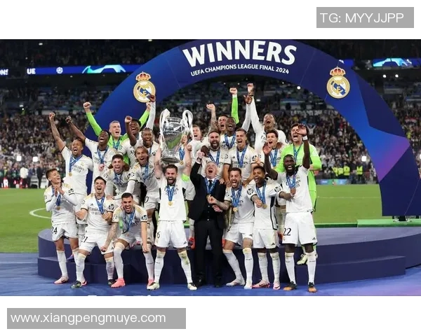 荷兰足球明星的辉煌历程与他们在世界足坛的影响力分析