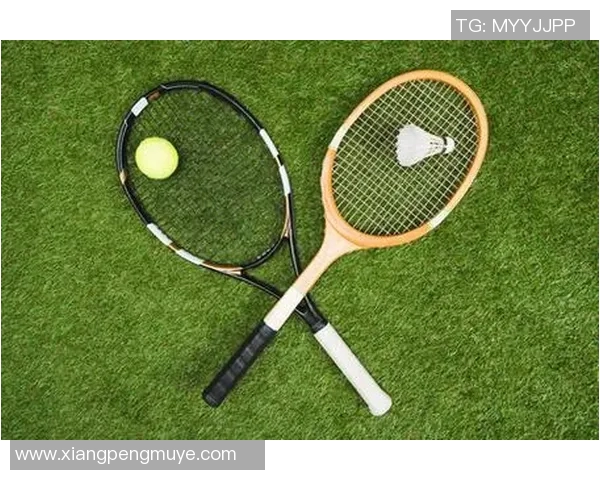 赛后分析：北京网球队与杭州网球队技术对比与战术探讨