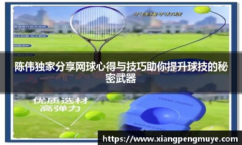 陈伟独家分享网球心得与技巧助你提升球技的秘密武器