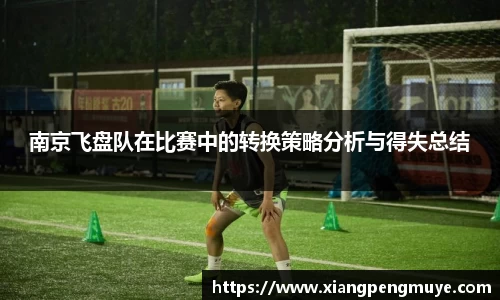 南京飞盘队在比赛中的转换策略分析与得失总结