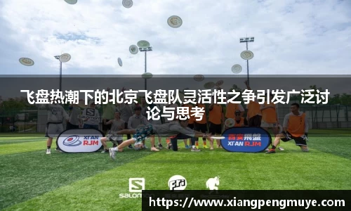 飞盘热潮下的北京飞盘队灵活性之争引发广泛讨论与思考
