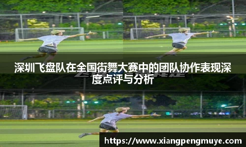 深圳飞盘队在全国街舞大赛中的团队协作表现深度点评与分析