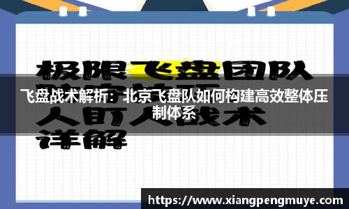 飞盘战术解析：北京飞盘队如何构建高效整体压制体系