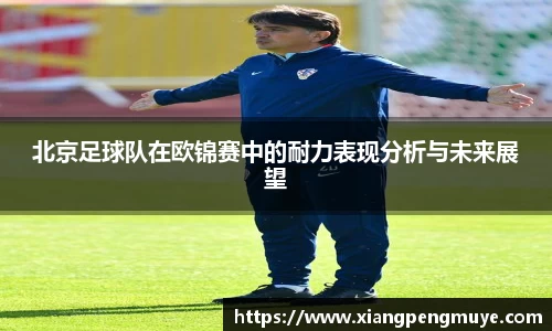 北京足球队在欧锦赛中的耐力表现分析与未来展望