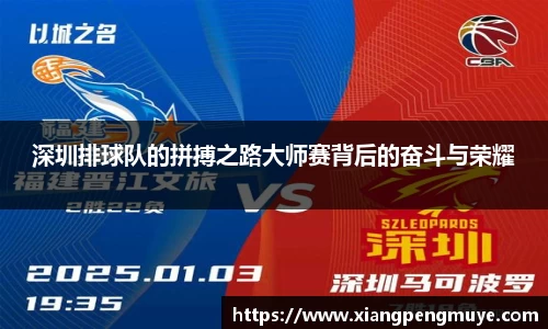 深圳排球队的拼搏之路大师赛背后的奋斗与荣耀