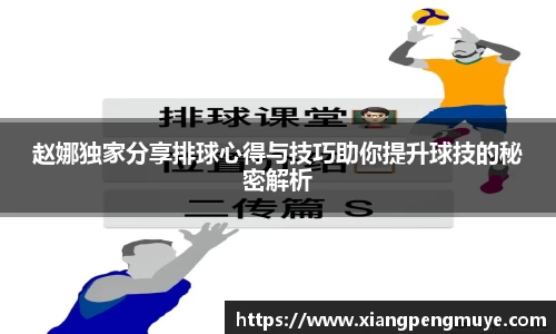 赵娜独家分享排球心得与技巧助你提升球技的秘密解析