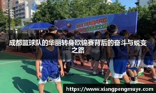 成都篮球队的华丽转身欧锦赛背后的奋斗与蜕变之路