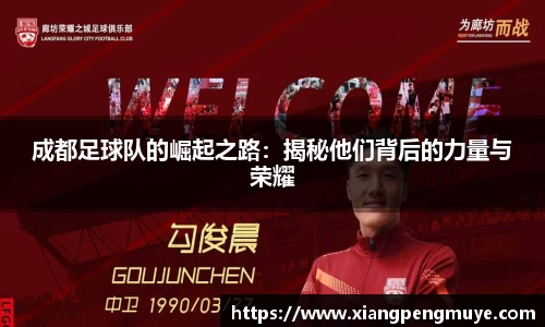 成都足球队的崛起之路：揭秘他们背后的力量与荣耀