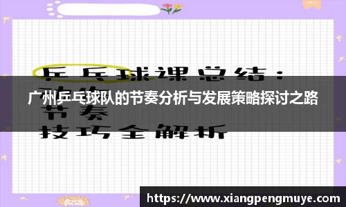 广州乒乓球队的节奏分析与发展策略探讨之路