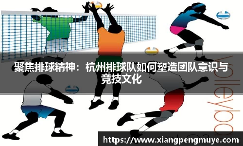 聚焦排球精神：杭州排球队如何塑造团队意识与竞技文化