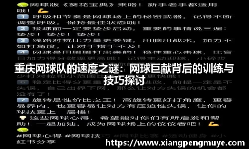 重庆网球队的速度之谜：网球巨献背后的训练与技巧探讨