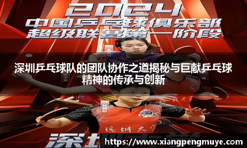 深圳乒乓球队的团队协作之道揭秘与巨献乒乓球精神的传承与创新