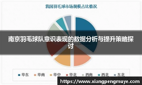 南京羽毛球队意识表现的数据分析与提升策略探讨
