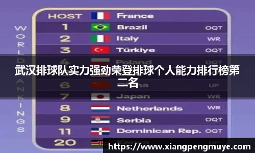 武汉排球队实力强劲荣登排球个人能力排行榜第二名