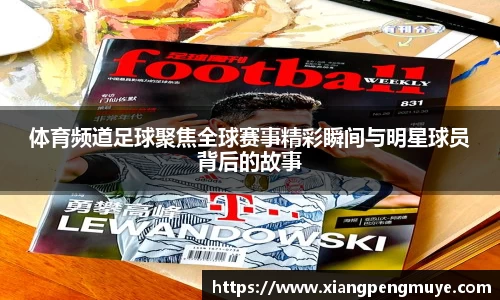 体育频道足球聚焦全球赛事精彩瞬间与明星球员背后的故事